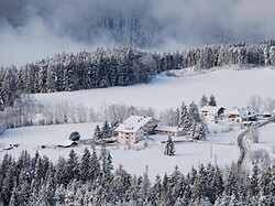 Hotel Moserhof & Dependance