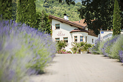 Pschoalhof