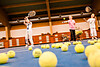 TVB Tauferer Ahrntal / Hansi Heckmair