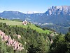 TV-Ritten