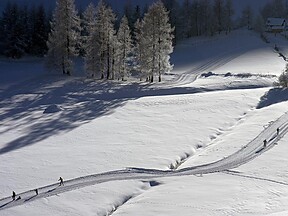 Selva dei Molini / Lappago