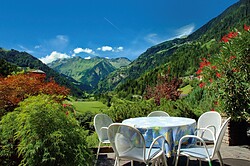 Pension Alpenhof