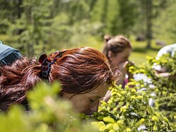 Bagno nel bosco – Camminare in modo consapevole nel bosco alpino