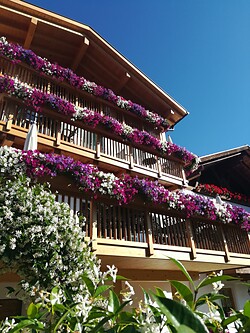 Engel Appartements
