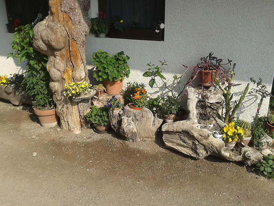 Gasthaus Kienegg in Vellau