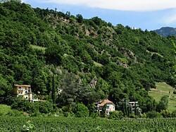 Villa Verdi Apartments