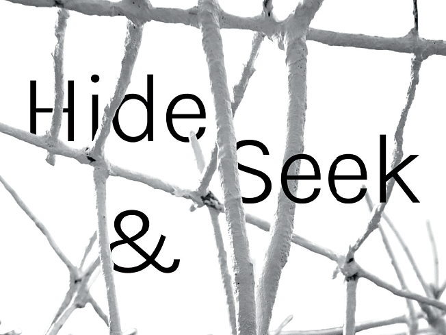 Exhibition - "Hide & Seek"