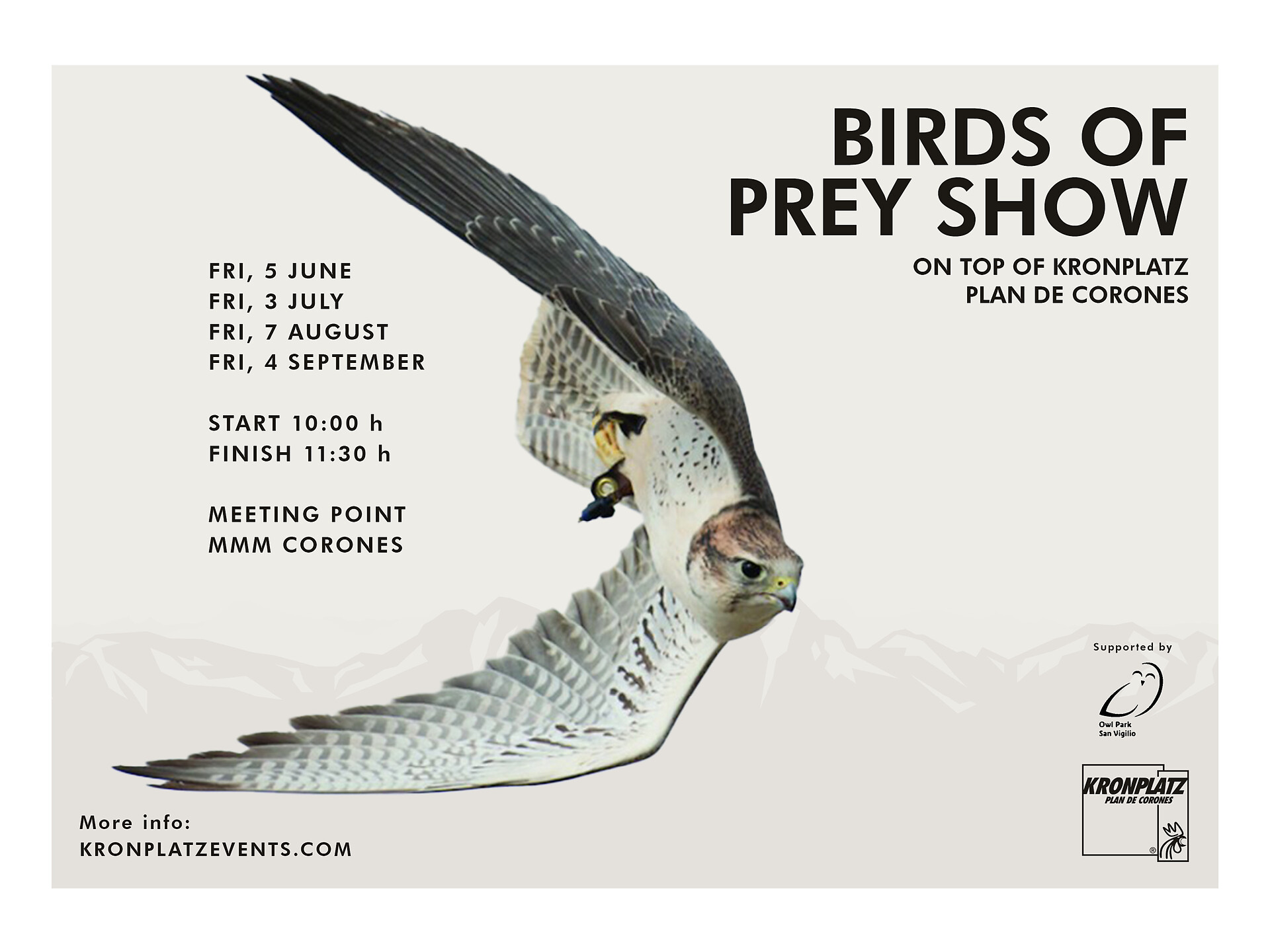Birds of prey show at Kronplatz