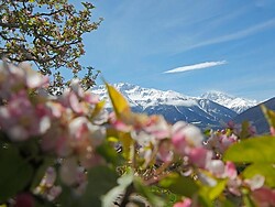 Frühlingswanderung im Nationalpark Stilfserjoch