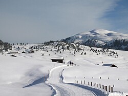 Hut Almhütte Laffaa