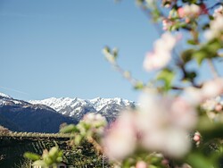 Picknickgenuss in den Weinbergen mit Blick auf Schloss Kastelbell