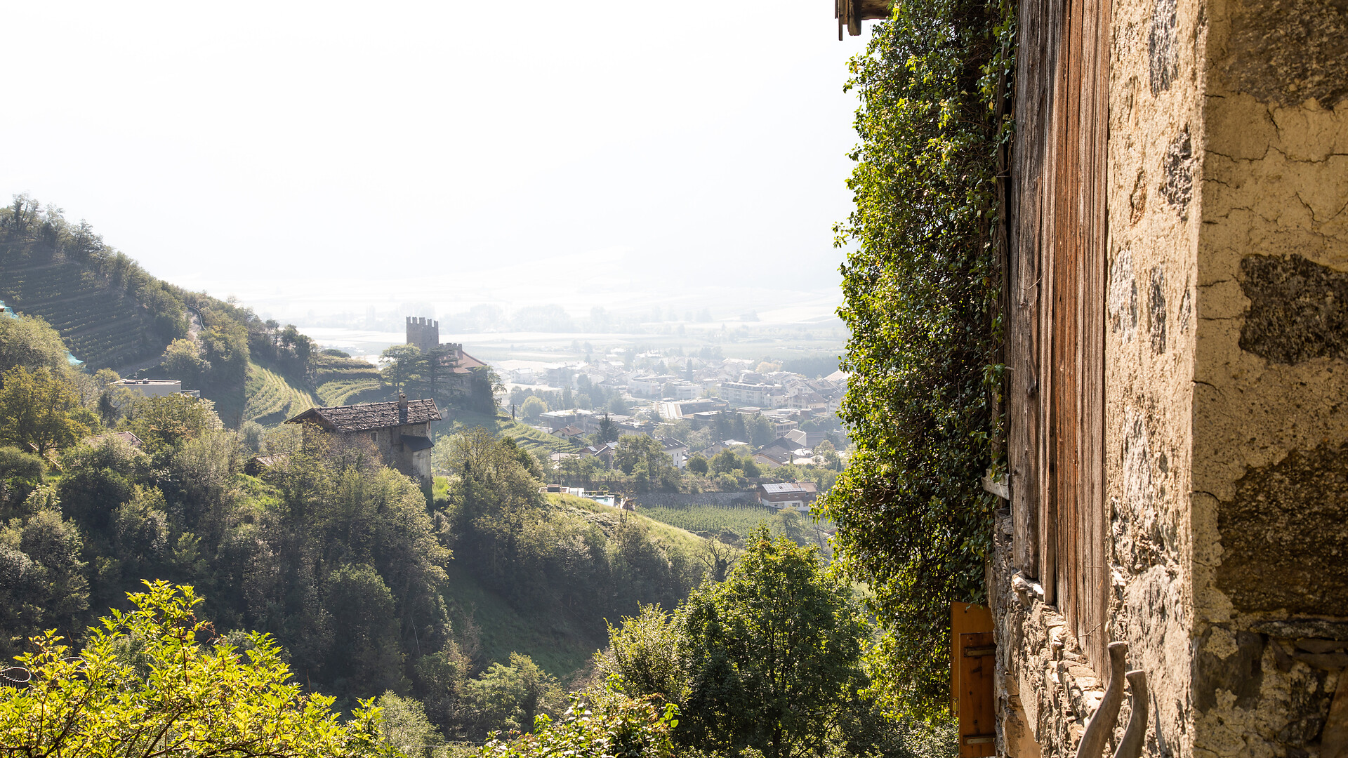 Panoramic hike Naturno - Meran/Merano and environs - #3 - suedtirol.info