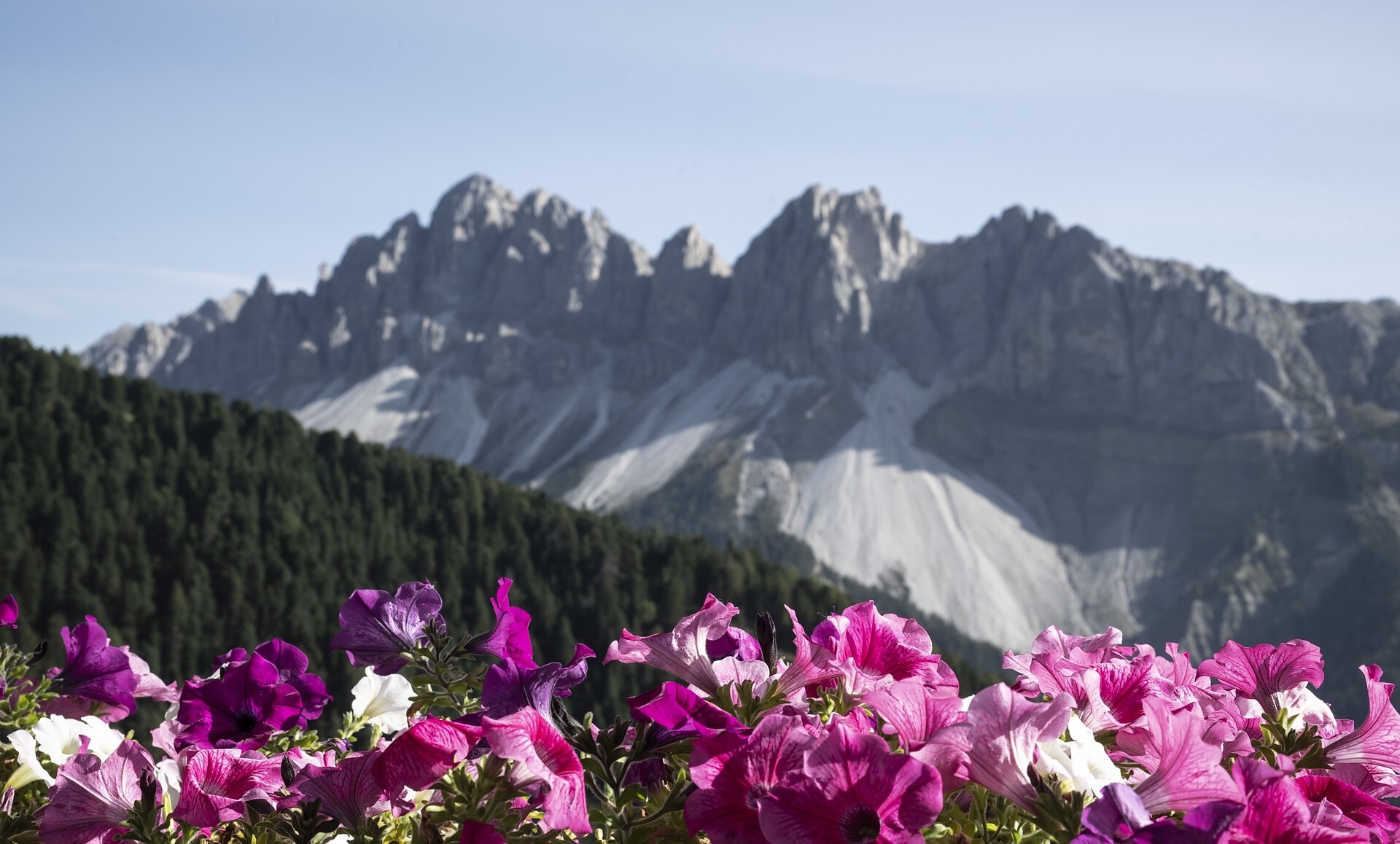 Chalet Rustico Dolomites