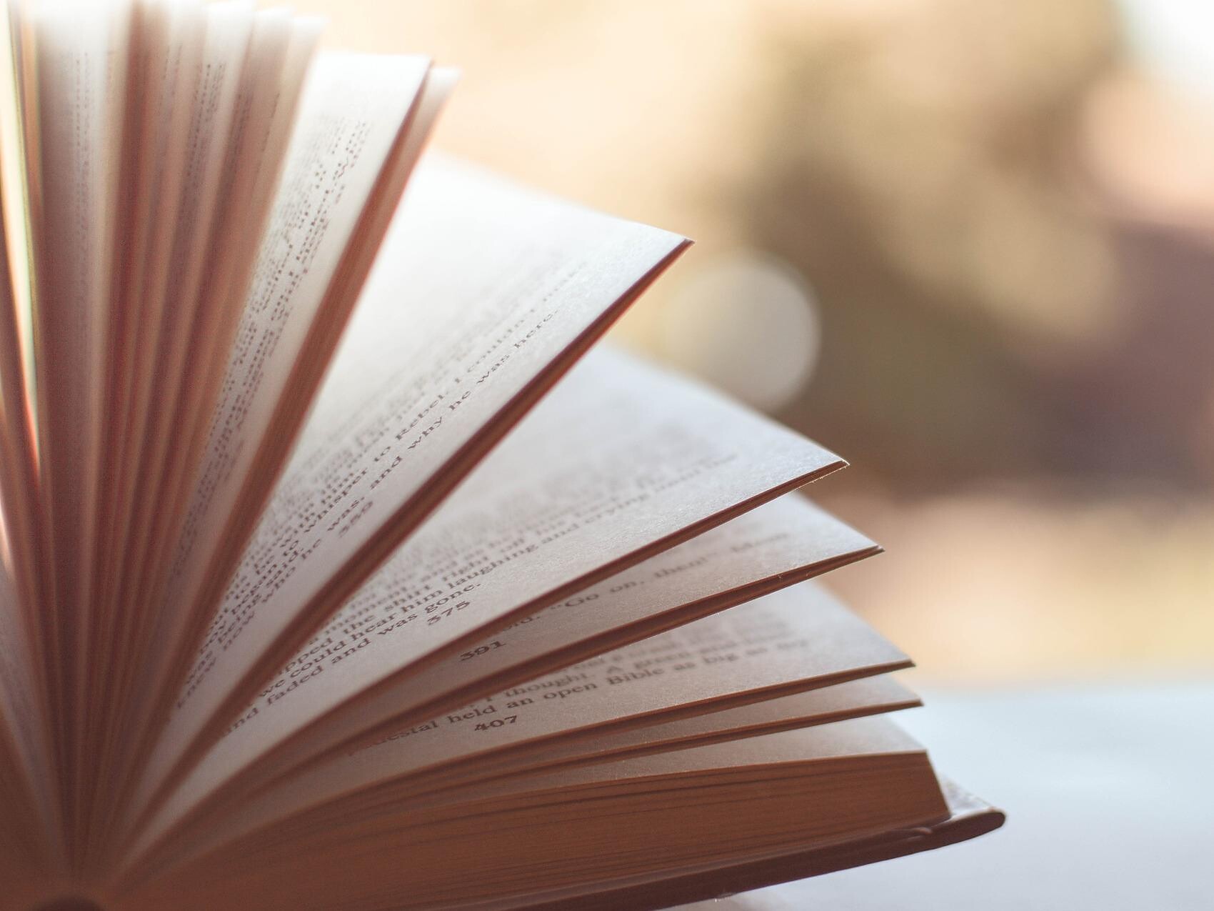 Literatur auf der Terrasse