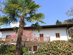 Appartements LENA