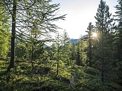 Waldbaden im Herbst mit Lisi Tappeiner