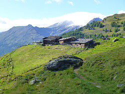 To the oldest high alpine pasture in the Tyrolean region - Moar Alm