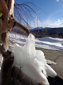 Appartamenti Walderhof