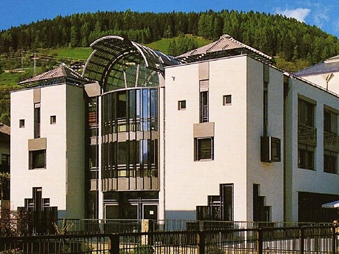 IDM
