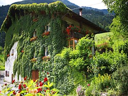 Agriturismo Obergereuth Hof