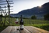 Weingut Ferruccio Carlotto