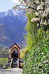 Daniela Prossliner - Tourismusverein Algund