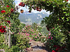 Dolomites Val Gardena