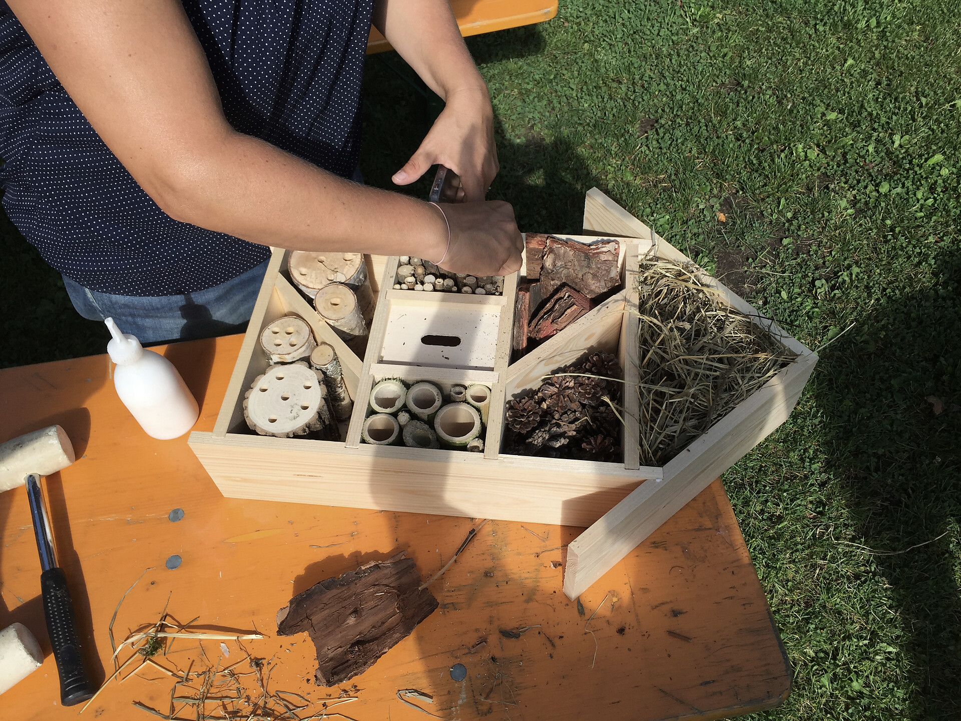 We are building an Insect Hotel