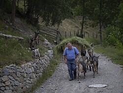 Vivere e lavorare in montagna – Escursione tematica guidata