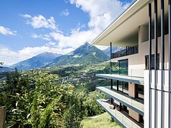 Art & Nature Chalet Anna