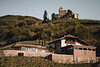 Pitzner - Winery & Suites