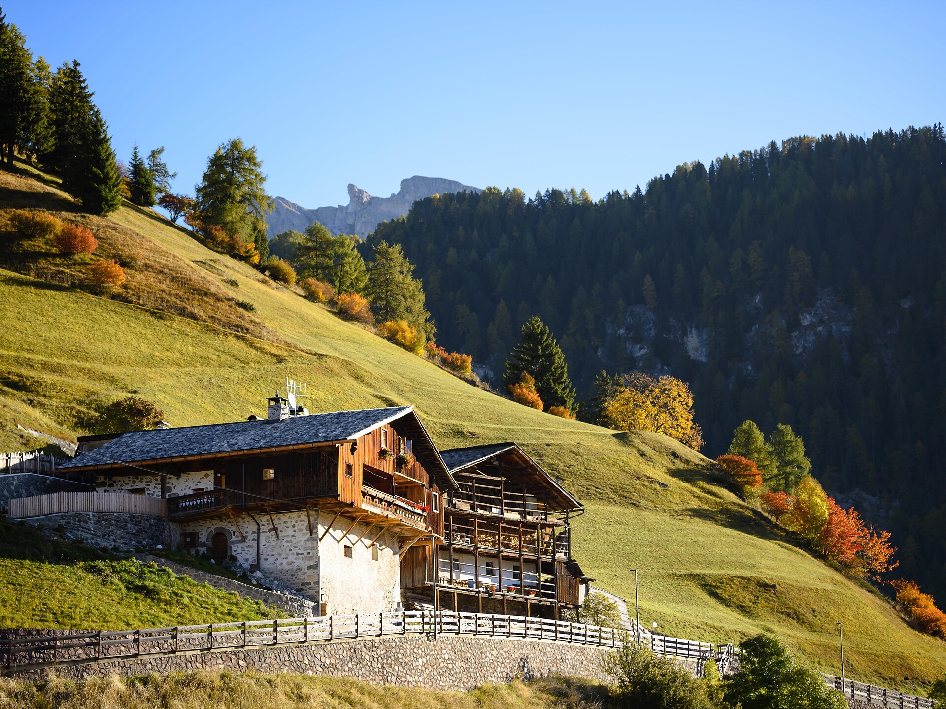 Insight into Rural Life – Guided Traditional Farm Walk - Dolomites Region Val Gardena - #2 - suedtirol.info