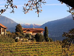 Greiterhof