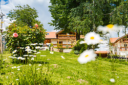Stettnerhof
