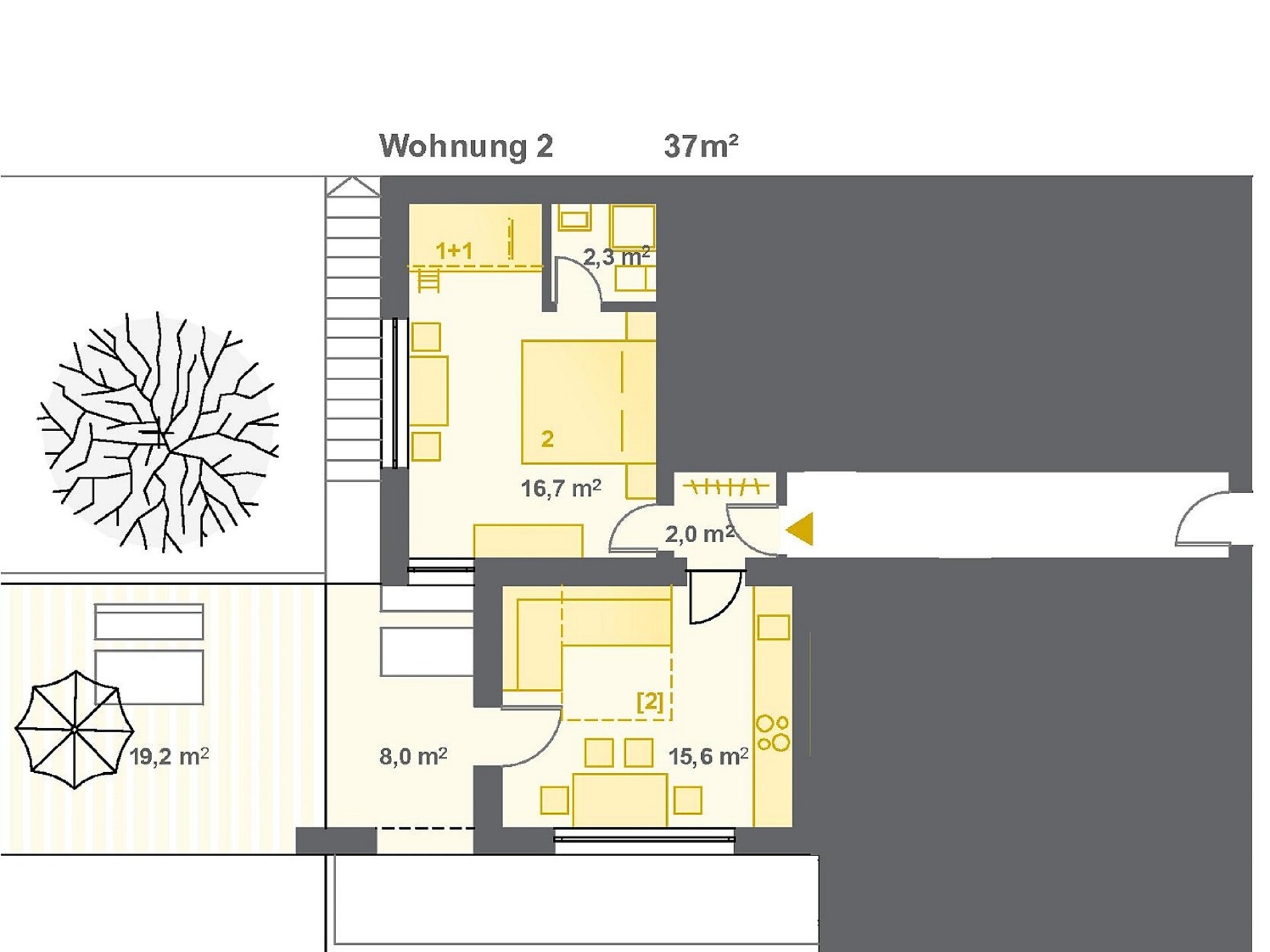 Haus Tasser | Dolomiti Superski