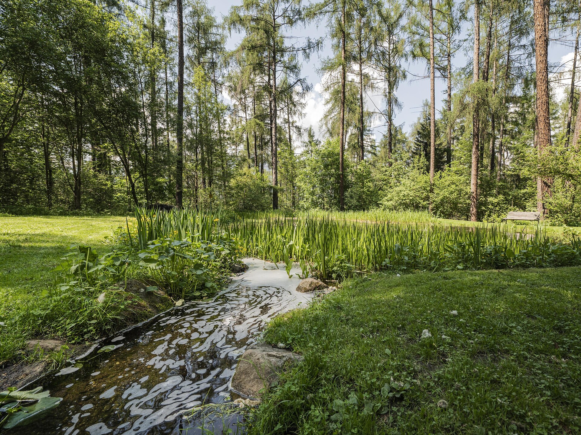 Body & Mind - Natur, Bewegung und Balance in Bruneck