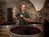 Luis Wine