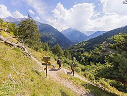 In cammino nel Parco Nazionale dello Stelvio – al ritmo delle stagioni