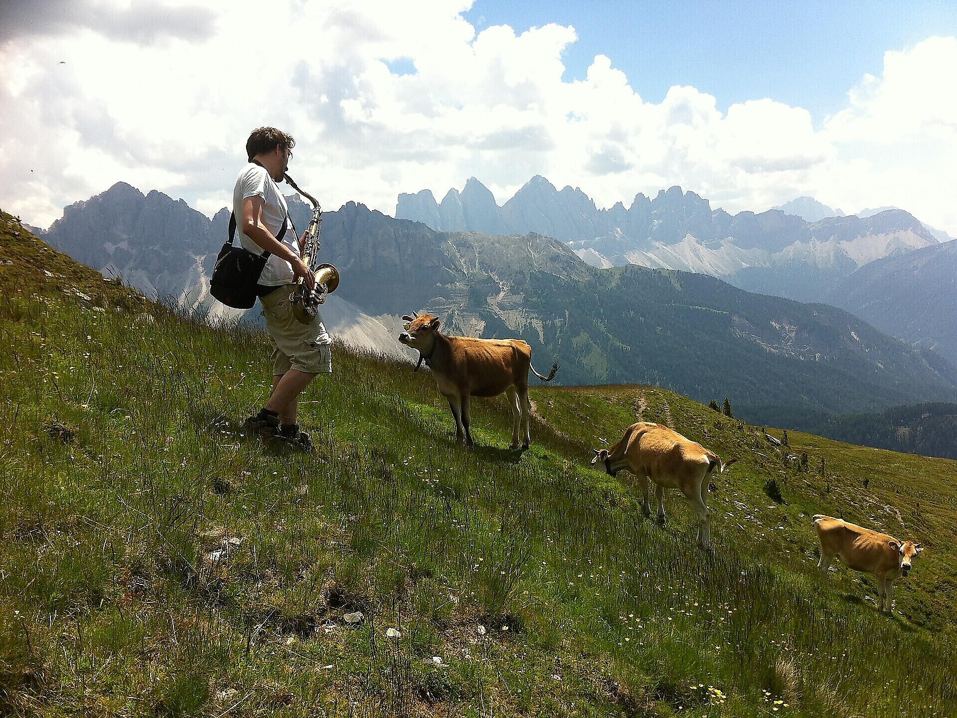 Südtirol Jazzfestival Alto Adige 2025 - Goethe Haus - Bozen und Umgebung - #2 - suedtirol.info