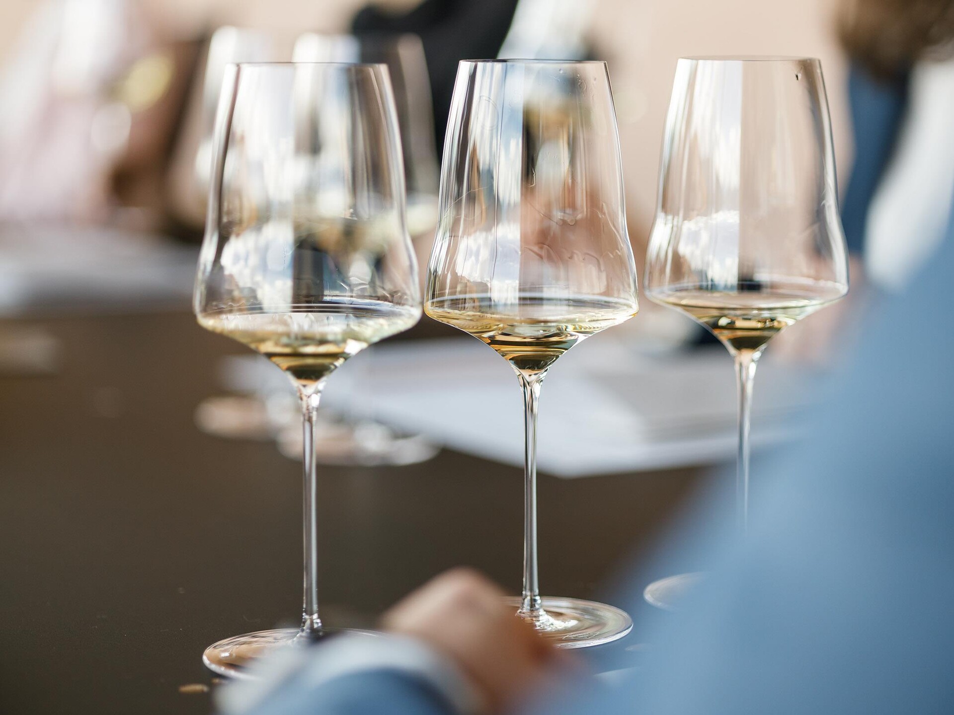 Masterclass "Pinot Blanc fascination" –  with our winemaker Philipp Zublasing - Alto Adige Wine Road - #2 - suedtirol.info