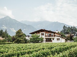 Dornerhof