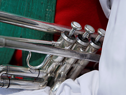 Wishes for the new year from the music groups