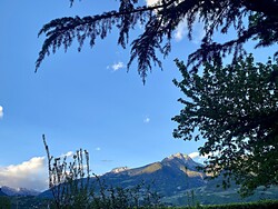 Haus Midi