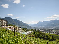Hotel Castel