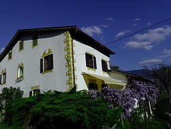 Kränzler