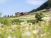 Unterlutaschghof