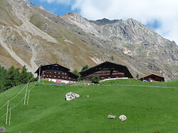 Maso Tisen