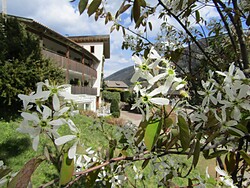 Hotel Unterpichl