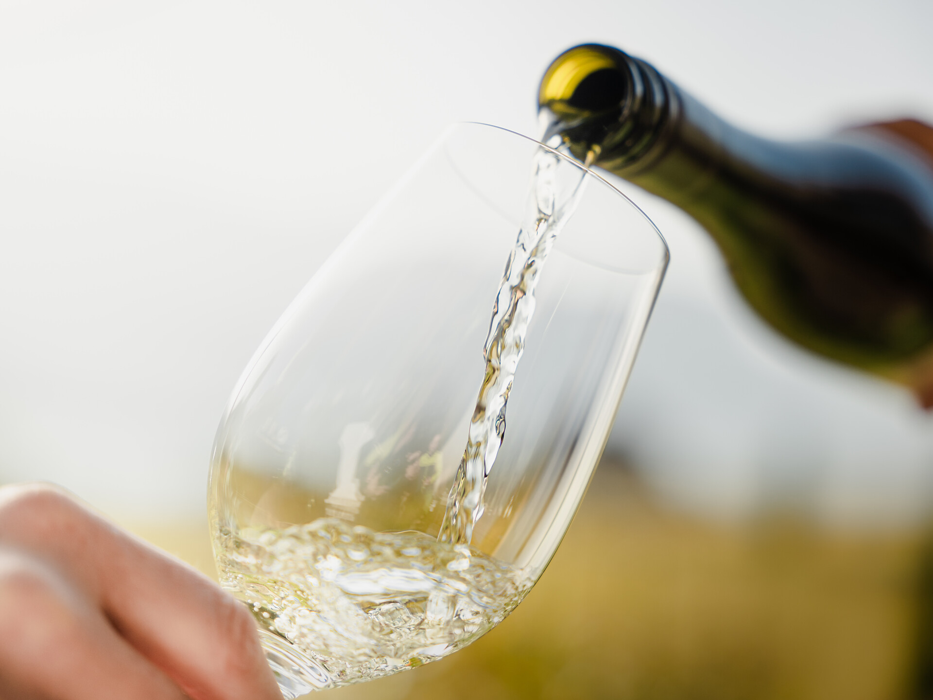 Wine & Bike - Alto Adige Wine Road - #2 - suedtirol.info