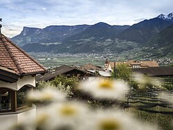 Apartments Vitalpina